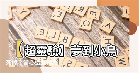 夢到小鳥死掉|夢見小鳥死了是什麼意思